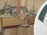 IMG_0351.jpg