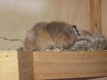 IMG_0353.jpg