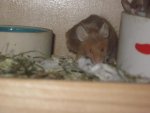 IMG_0357.jpg