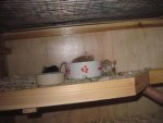 IMG_0525.jpg