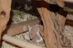 DSC_0079.jpg