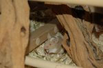 DSC_0081.jpg