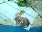 DSC02236.jpg