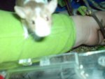 DSC02247.jpg
