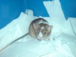 DSC02250.jpg