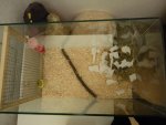 Einzug in 30x50.jpg