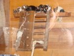 DSC00409.jpg