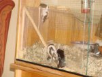 DSC00547.jpg