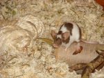 DSC00476.jpg
