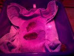 2011-07-20_16-36-18_88.jpg