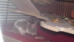 21072011155.jpg
