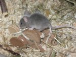 IMG_2069 - Kopie.JPG