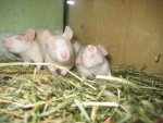 IMG_1122.jpg
