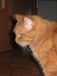 IMG_0946klein.jpg