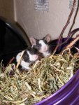 Aug-2011-0042.jpg