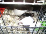 DSC06565.jpg