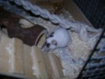 DSC06562.jpg