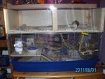 PICT0051.jpg