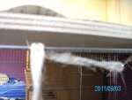 PICT0060.jpg