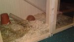 06092011299.jpg