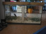 2011-09-12 17-14-05.JPG