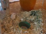 2011-09-19 08-58-11.JPG