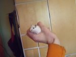DSCF1291.jpg