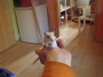 DSCF1289.jpg