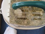 2011-09-29 11-03-41.JPG