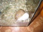2011-09-30 07-54-33.JPG