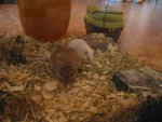 2011-09-30 07-58-25.JPG