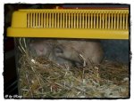 25.9.2011 049.jpg