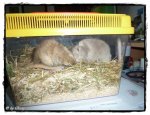 25.9.2011 071.jpg