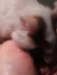 IMG_0277.jpg