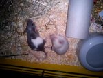 DSC00389.jpg
