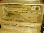 BILD4176.jpg
