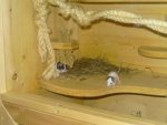 BILD4163.jpg