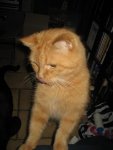 IMG_0316.jpg