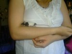 BILD4300.jpg