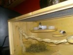 BILD4316.jpg