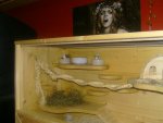 BILD4318.jpg