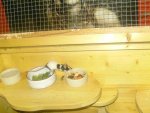 BILD4322.jpg