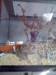 27-10-11_AQ2.1.jpg