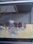 27-10-11_AQ2.2.jpg