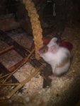 IMAG_0964.jpg