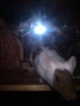 IMAG_0848.jpg