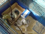 DSC01967.jpg