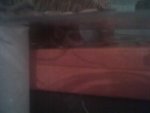 15-11-11_0003 hp.jpg