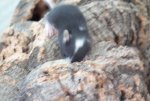 DSCF6561.jpg