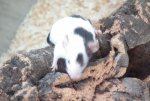 DSCF6571.jpg